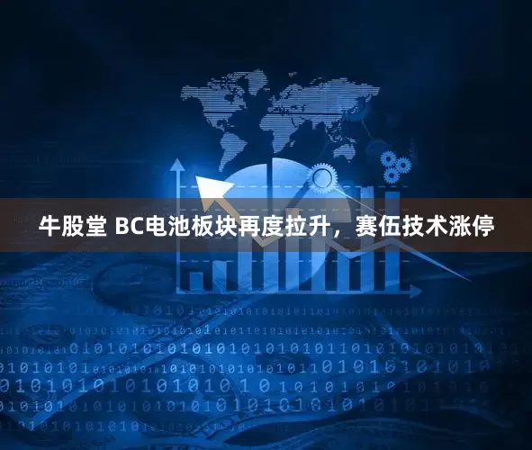 牛股堂 BC电池板块再度拉升，赛伍技术涨停