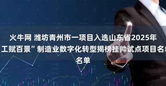 火牛网 潍坊青州市一项目入选山东省2025年“工赋百景”制造业数字化转型揭榜挂帅试点项目名单