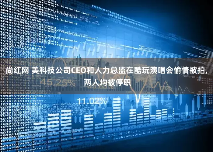 尚红网 美科技公司CEO和人力总监在酷玩演唱会偷情被拍, 两人均被停职