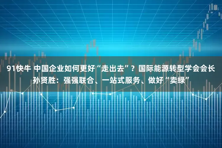 91快牛 中国企业如何更好“走出去”？国际能源转型学会会长孙贤胜：强强联合、一站式服务、做好“卖绿”